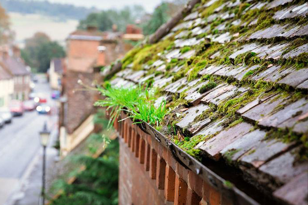 Gutter Cleaning in St Albans